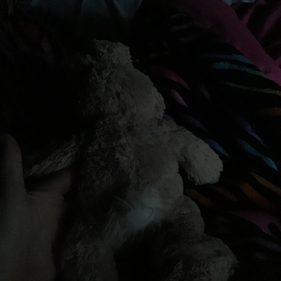 Stuffed Rabbit - Picture 2 of 2